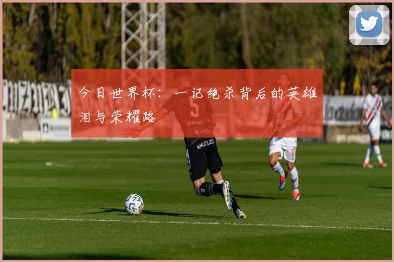 今日世界杯:一记绝杀背后的英雄泪与荣耀路
